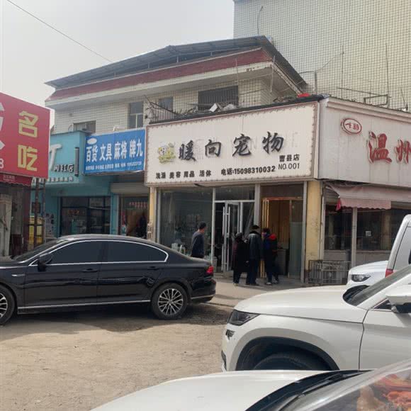 暖向宠物(曹县店):菏泽市曹县