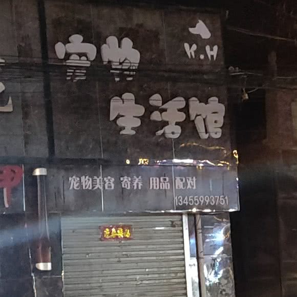 K.H宠物狗生活馆:菏泽市曹县
