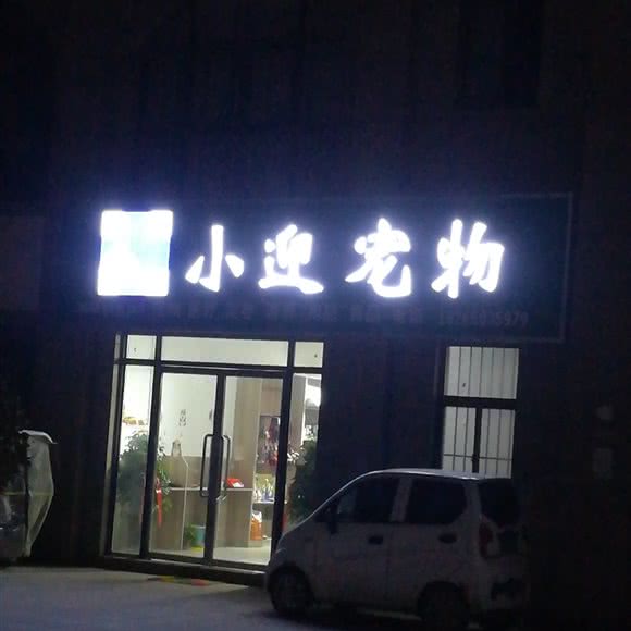 小迎宠物:菏泽市曹县