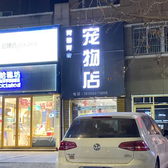 阿猫阿狗宠物店:菏泽市曹县