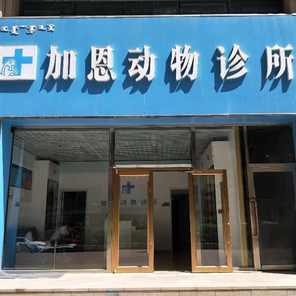加恩动物诊所:包头市昆都仑区帝景附近