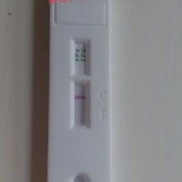 博爱宠物医院:菏泽市曹县