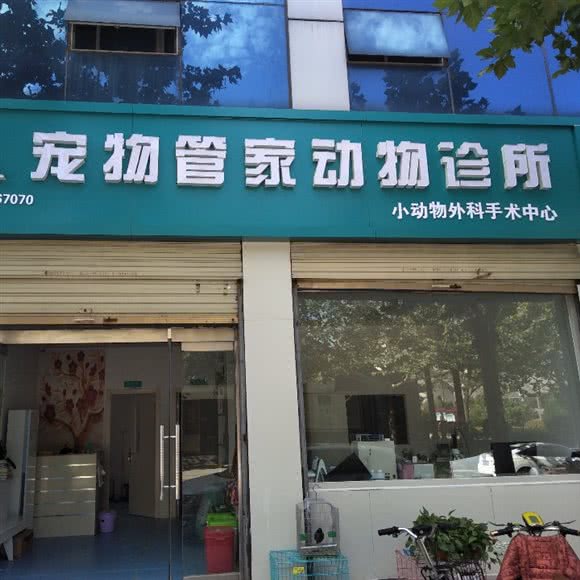 单县宠物管家动物诊所(宠物管家喵咪中心):菏泽市单县