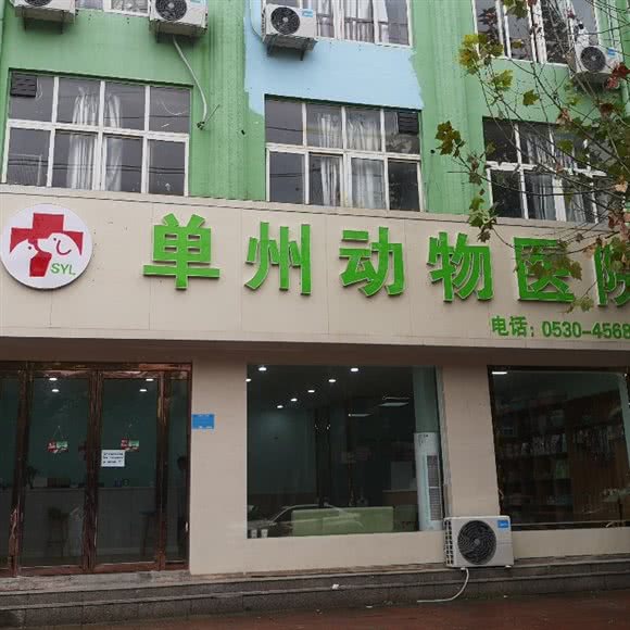 单州动物医院:菏泽市单县
