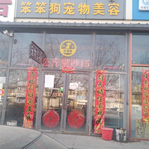 笨笨狗宠物美容:包头市昆都仑区甲尔坝附近