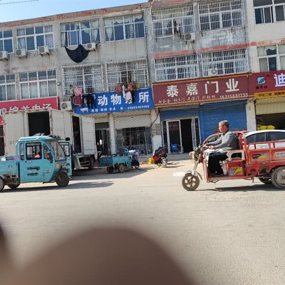 动物诊所:菏泽市单县