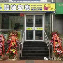 酷迪宠物(景泰西里店):北京城区东城区沙子口附近