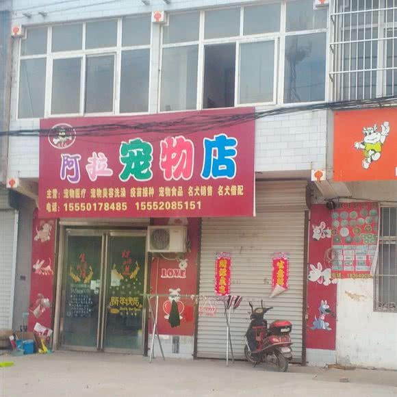 阿拉宠物店:菏泽市成武县