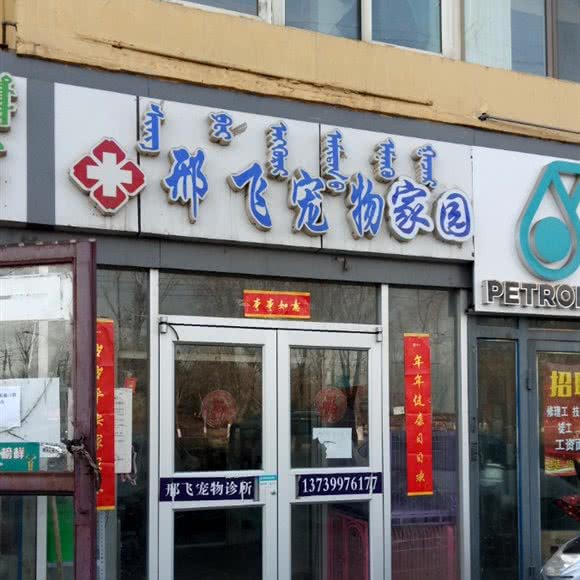 邢飞宠物家园:包头市昆都仑区啤酒园附近