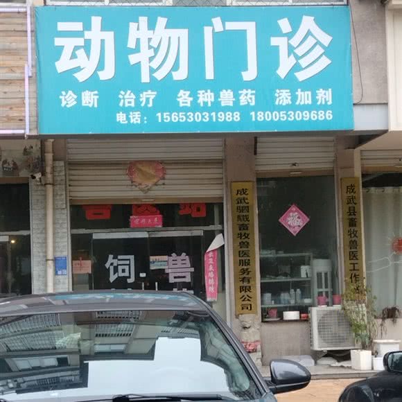 动物门诊:菏泽市成武县