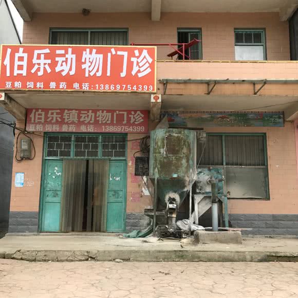 伯乐镇动物门诊:菏泽市成武县