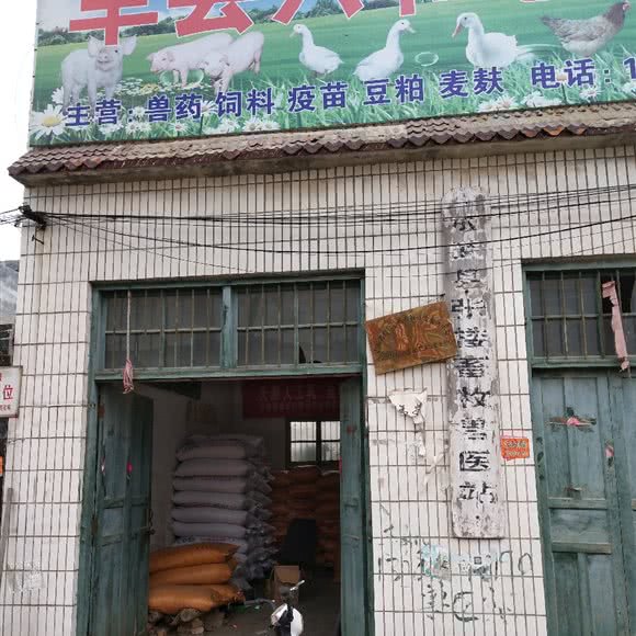 张楼镇兽医站:菏泽市成武县