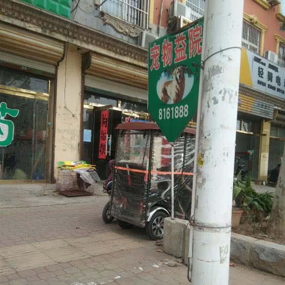 宠物益院:菏泽市巨野县