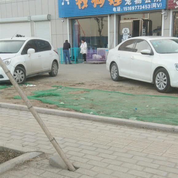 牧狗娃宠物会所:菏泽市巨野县