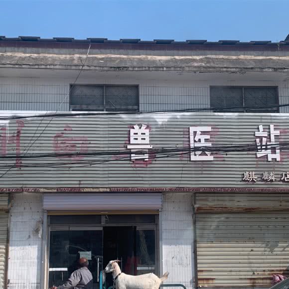 兽医站(麒麟店):菏泽市巨野县