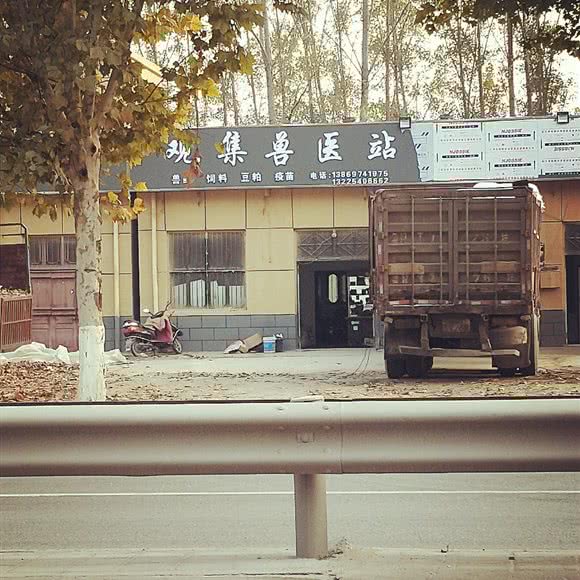 观集兽医站:菏泽市巨野县
