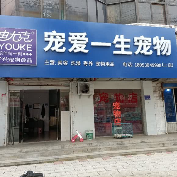 宠爱一生宠物(二店):菏泽市郓城县