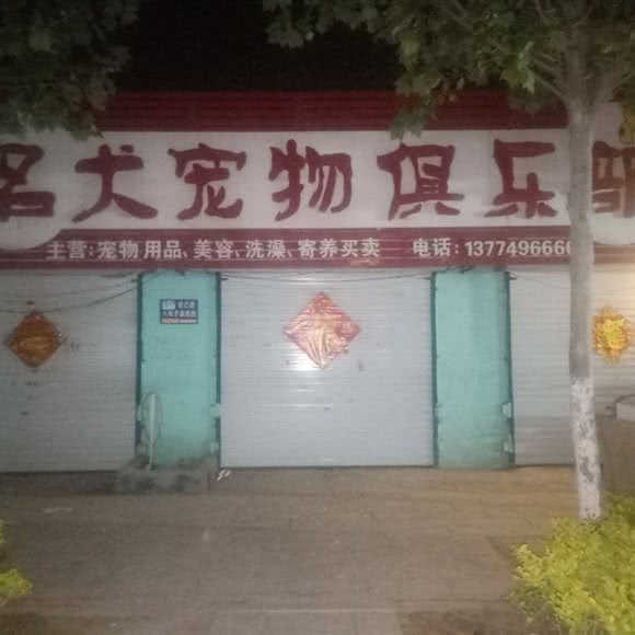 名犬宠物俱乐部:菏泽市郓城县