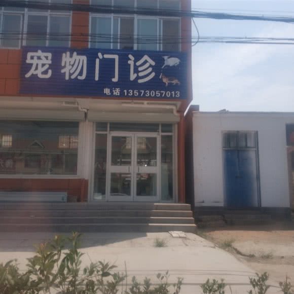 宠物门诊:菏泽市郓城县
