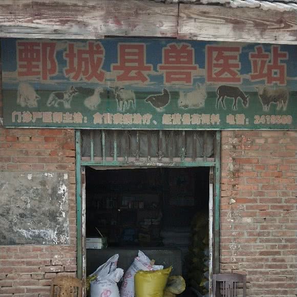 鄄城县兽医站:菏泽市鄄城县