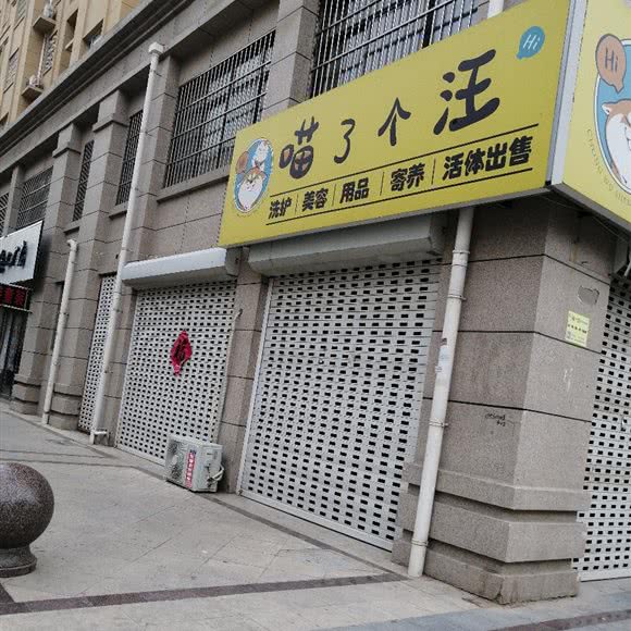 喵了个汪:菏泽市东明县