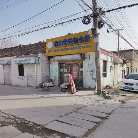 牧和邻宠物会所(东明店):菏泽市东明县