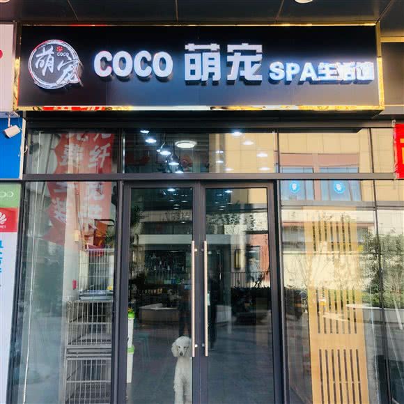 COCO萌宠SPA生活馆:郑州市二七区