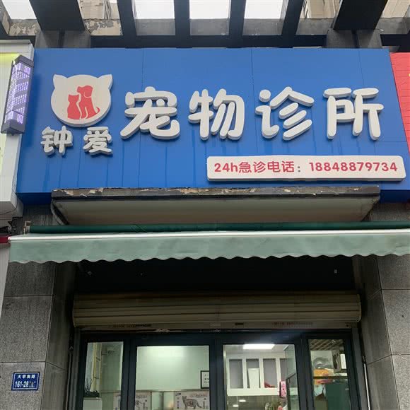 钟爱宠物诊所:郑州市二七区