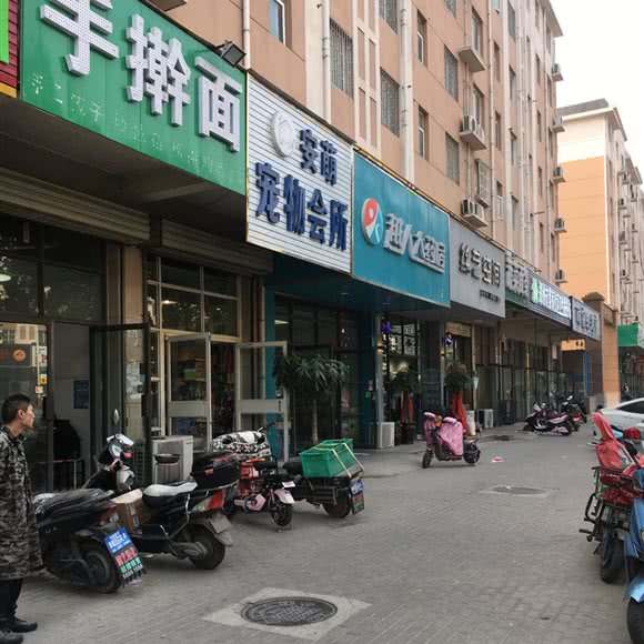 安萌宠物会所:郑州市管城回族区