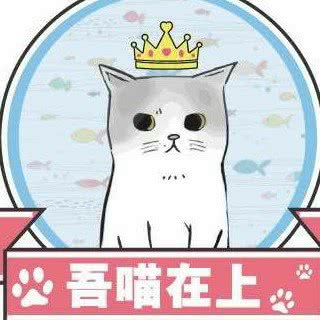 吾喵在上猫咪生活馆(南阳路店):郑州市金水区