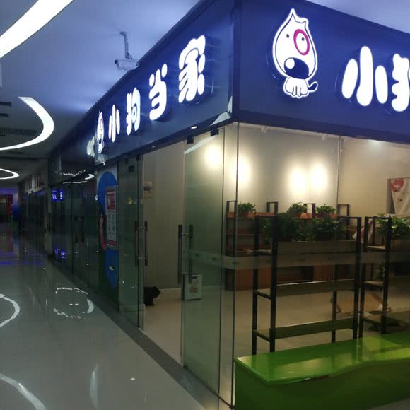 小狗当家:郑州市金水区