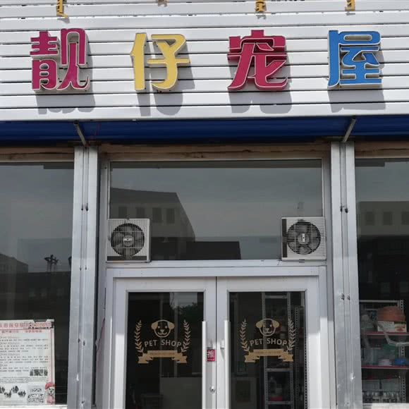 靓仔宠屋:包头市青山区青山华联附近