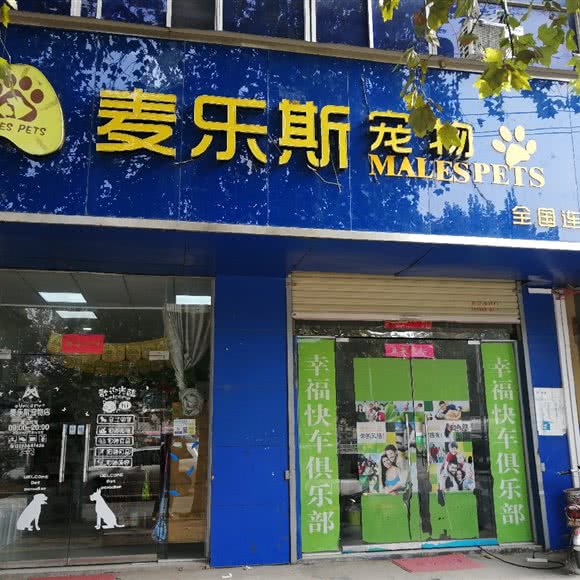 麦乐斯宠物:郑州市中牟县