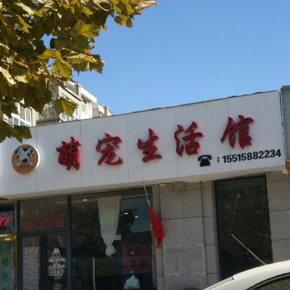 萌宠生活馆:郑州市中牟县