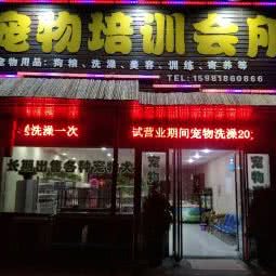 宠物培训会所:郑州市中牟县