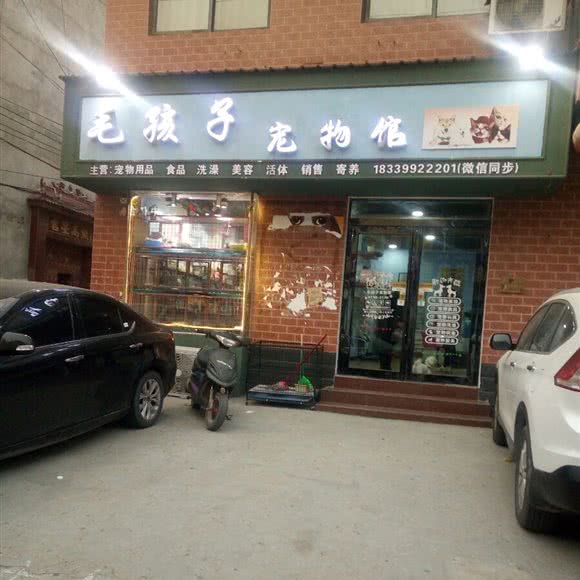 毛孩子宠物馆:郑州市中牟县