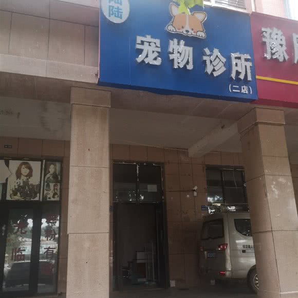 陆陆宠物诊所:郑州市中牟县