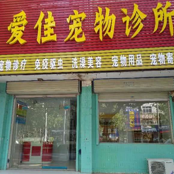 爱佳宠物医院:郑州市中牟县