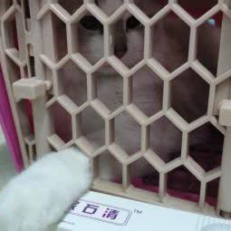 惠宠堂宠物医院:郑州市巩义市