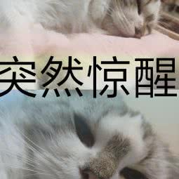 协合动物医院:郑州市巩义市