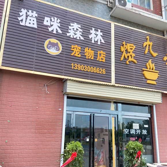 猫咪森林宠物店:郑州市新密市
