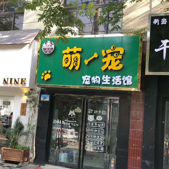 萌宠宠物生活馆:郑州市新密市
