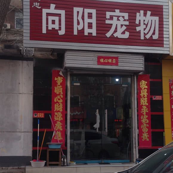 向阳宠物:郑州市新密市