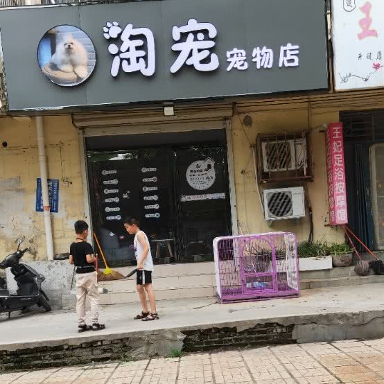 淘宠宠物店:郑州市新密市