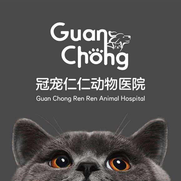 冠宠仁仁动物医院(宠道佳福小区店):包头市青山区青山保利附近