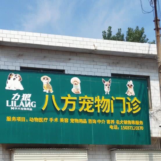 八方宠物门诊:郑州市新密市