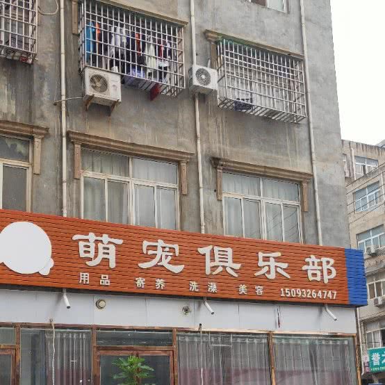 萌宠俱乐部:郑州市新郑市