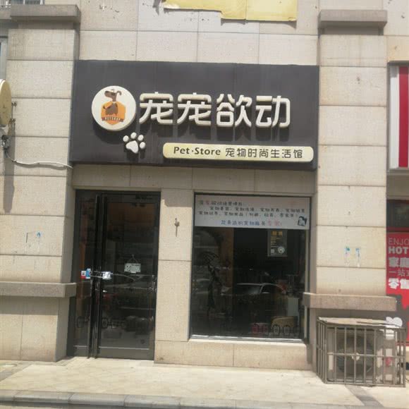 宠宠欲动:郑州市新郑市