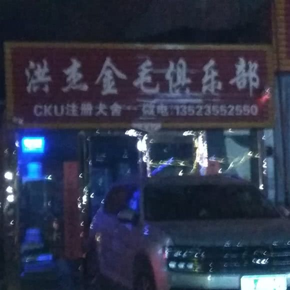 洪杰金毛俱乐部:郑州市新郑市