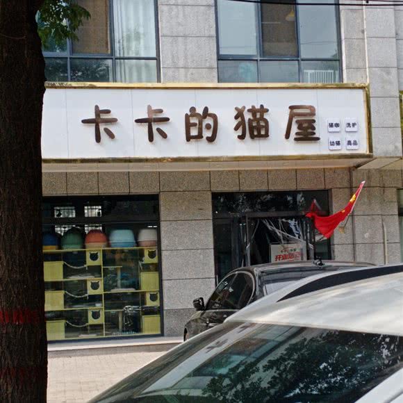 卡卡的猫屋:郑州市新郑市